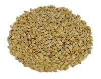 Ячменный солод, вы Виски - копченый дым из торфа 5кг